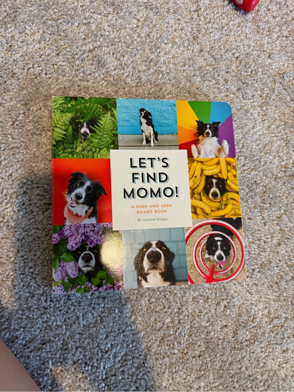 LET'S FIND MOMO! Hide-and-Seek Board Book - Colorful Dog Pictures